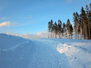 Harz