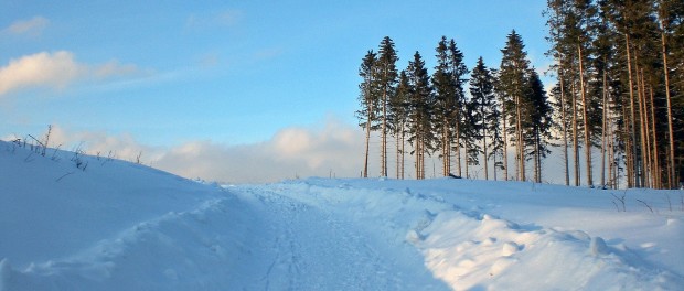 Harz