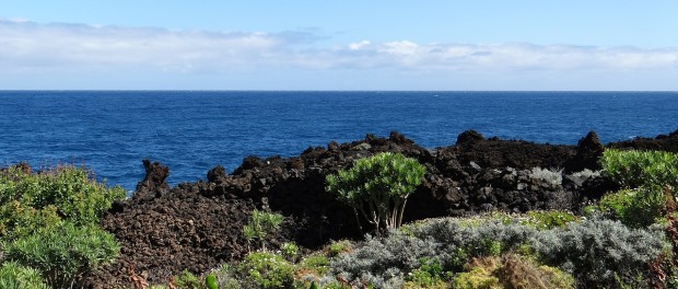 La Palma